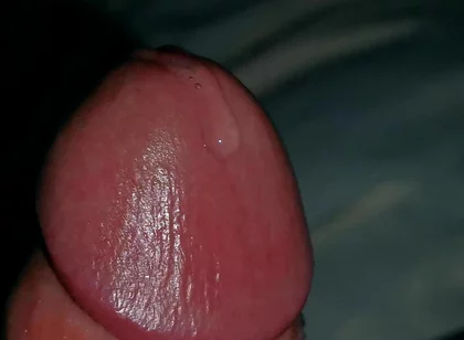 Very Close-up of an Over-excited Penis and Streams of Pre-cum!