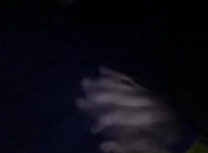 Sexy Man with Tremendous Cock Touching Himself on the Couch