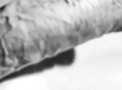 Revealing My Big White Hard Cock
