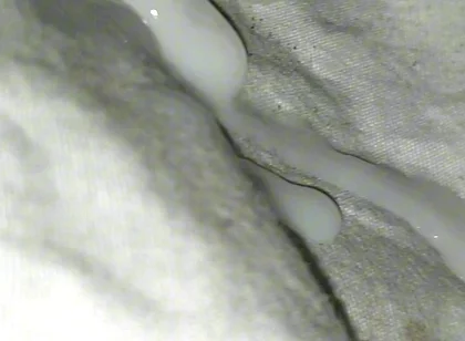 Huge Sperms Out of His Penis, an Young Boy
