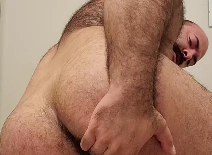 Bear Ass