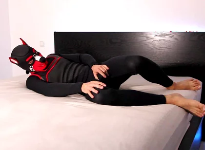 Horny Neoprene Puppy Humping and Teasing Himself