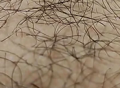 I'm Hairy Boy This My Legs and Dick