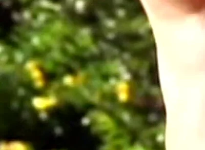 Latino Twink Fuckin Barebac with Friend