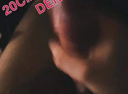 Danish Cock