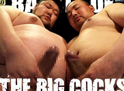 Battle of the Big Cocks