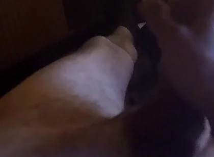Home Masturbation