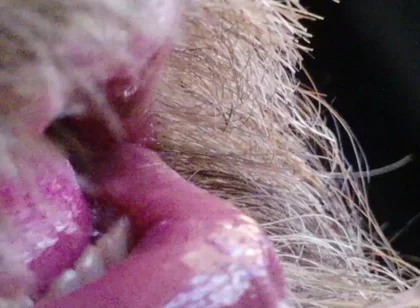 Kissing, Spitting on and Fucking My Stunt Mouth