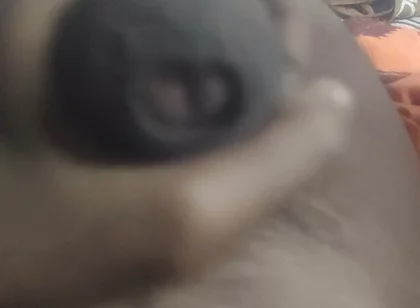 Aunty's Pussy Became Wet After Seeing My Penis.