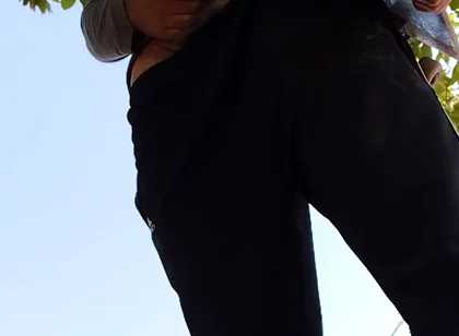 A Normal Day in the Park
