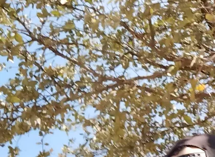 Me in the Park Alone Giving Pleasure to Till I Get Milk