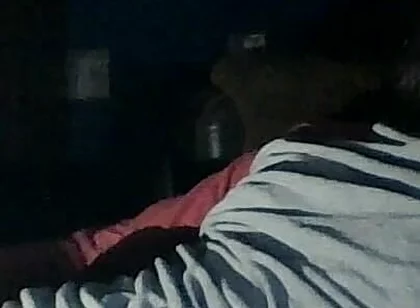 Viewing Models on the Pc