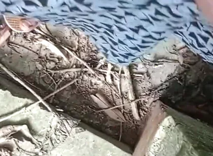 Jangal Me Mangal Bhola Sexy Boy
