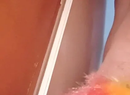 Rainbow Duster