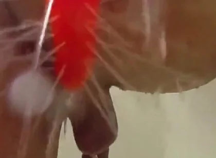 Using a Shower Spray Dildo
