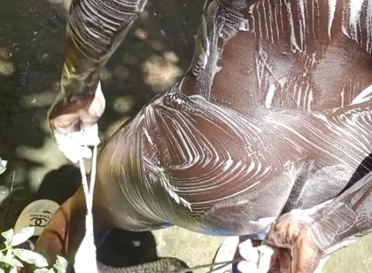 Heavy Wet and Slippery Huge Black Cock Wants to Cum on the Floor