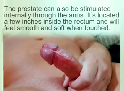 Prostate Orgasams Anal