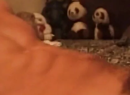 Throbbing Cock Deepthroat Gagging Till Drooling Mess