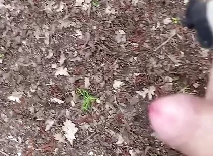 In the Natur #1