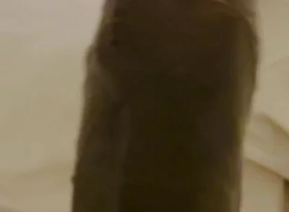 Nothing Stops Me From Wanking to Porn Daily