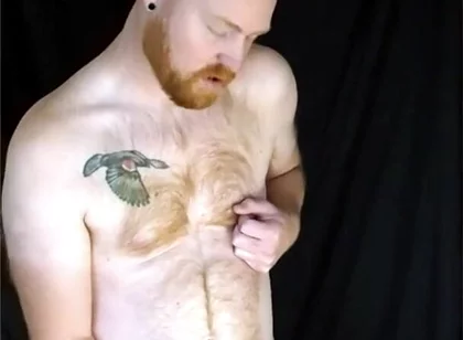 You Like Lookin' at This Fuzzy Ginger Fella?