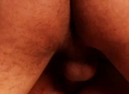 I Wanna Cock