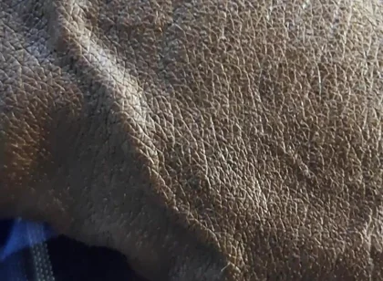 Veiny BBC Flashing