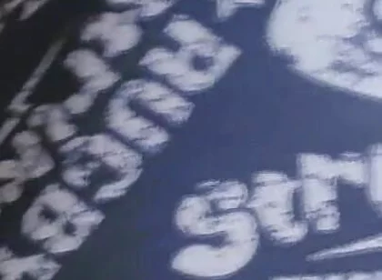 Gray Boxer and White Socks (video 1)