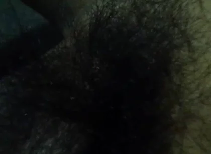 Owl Wake up