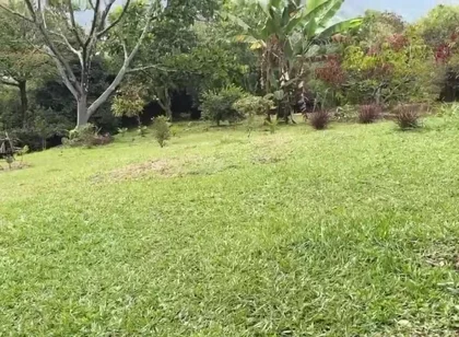 Horny Guy with Glasses Shows You His Morning Erection and Masturbates Outdoors - Andcristian