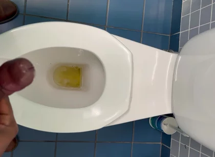 Jerking off in the Office Washroom