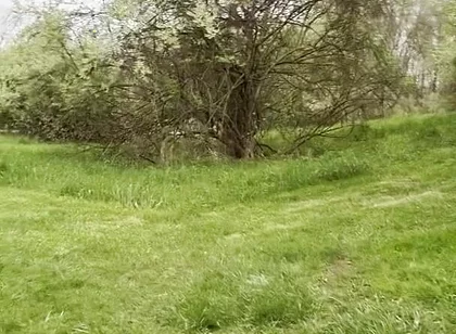 Jockstrap Park Tease: Muscular Asian Hunk Flexes, Fucks the Grass & Explodes in Cum