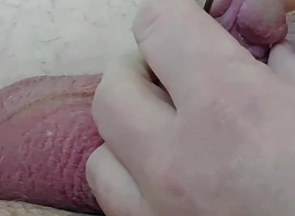 My Little Penis Gets a Prince's Scepter