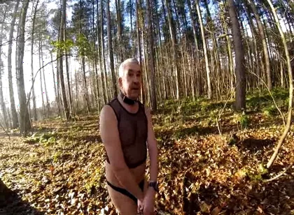 Cold Day in the Woods
