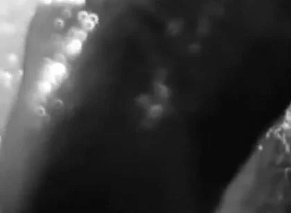 Stylish Compilation of Masturbation Shots - Self Shot Big White Cock and Cum