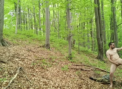 I Chase Him Through the Leaves