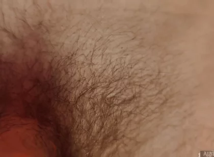 1080p - Beg. Stay Denied. - Albino Adonis