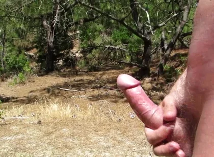 Nude Wank in the Woods and Fields 2