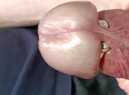 Mature Man's Veined Cock Masturbation