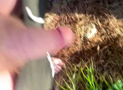A Redhead Boy Went for a Pee in the Woods and His Friend Followed Him