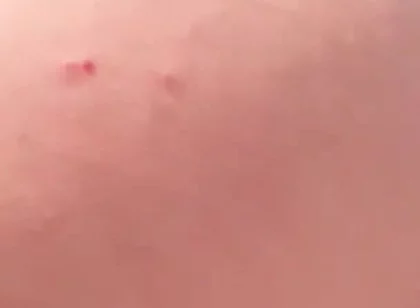 My Big Ass Is Way Better Than a Woman’s, and It Never Gets Pregnant.