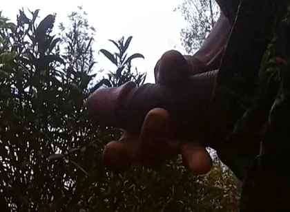 Solo Outside