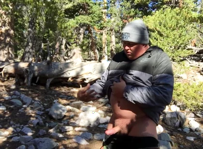 Cumpilation: the Early Years of Westcub86