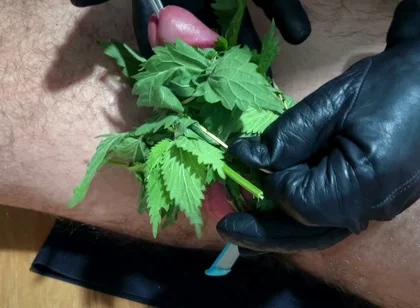 Cum with Nettles Inside Dick