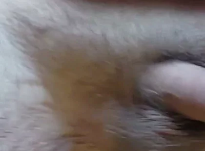 I'm Waving My Cock for You