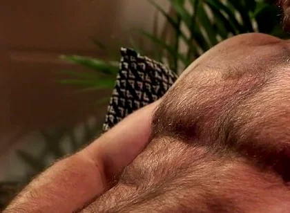 Breeding the Neighbor's Stepson
