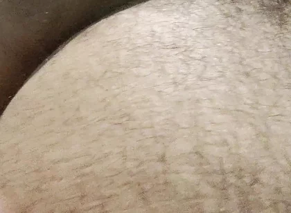 Have Breakfast with the Fat Pig