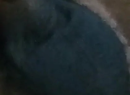 Who Wants My Dick?