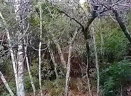 I Went to the Waterfall and Showed off Before Someone Came and Caught Me.