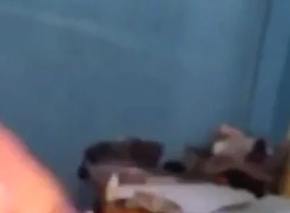Haydenbbc Video